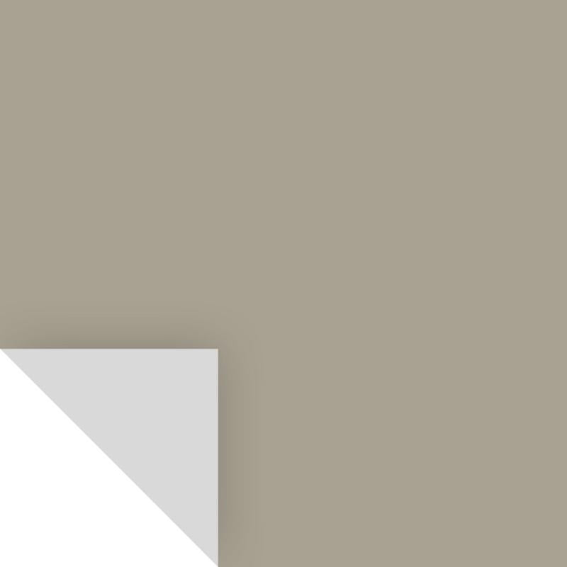 Samplize Benjamin Moore Rockport Gray Peel & Stick Color Sample HC-105
