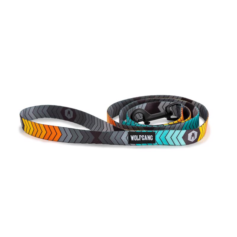 Wolfgang Multicolored ChevTech Polyester Dog Leash Small/Medium