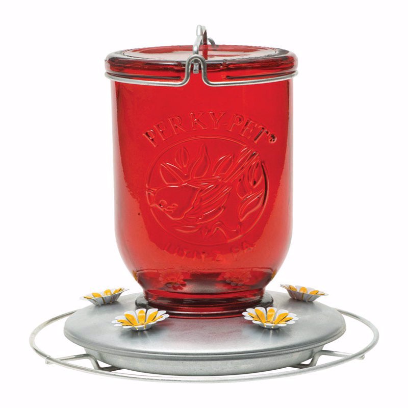 Perky-Pet Hummingbird 32 oz Glass/Metal Mason Jar Nectar Bird Feeder 5 ports