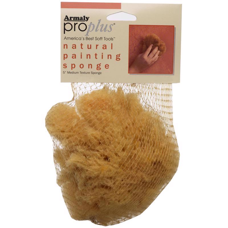 Armaly ProPlus 5 in. W X 4.5 in. L Beige Natural Sponge Painting Sponge