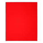 Diablo 11 in. L X 9 in. W Aluminum Oxide 320 Grit Ultra Fine Sanding Sheet