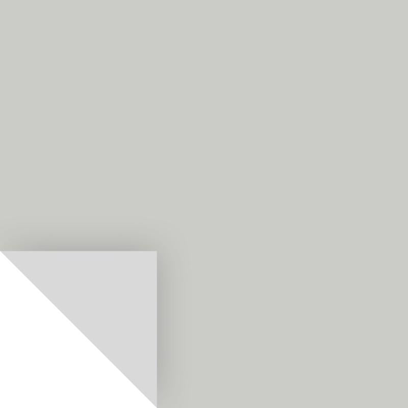 Samplize Benjamin Moore Stonington Gray Peel & Stick Color Sample HC-170