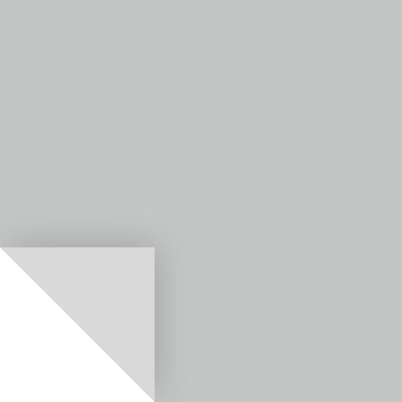 Samplize Benjamin Moore Silver Lake Peel & Stick Color Sample 1598