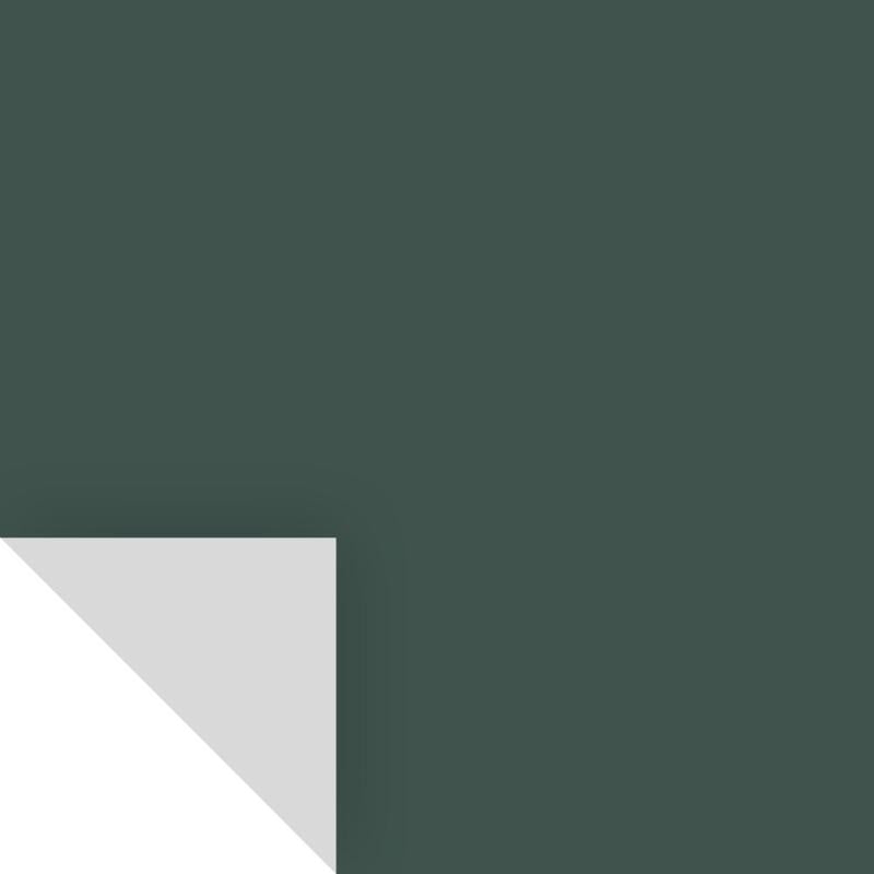 Samplize Benjamin Moore Tarrytown Green Peel & Stick Color Sample HC-134