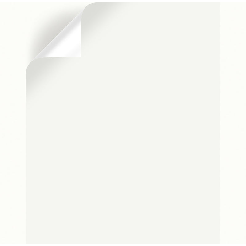 Magnolia Home by Joanna Gaines True White Peel & Stick Color Sample