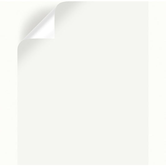 Magnolia Home by Joanna Gaines True White Peel & Stick Color Sample