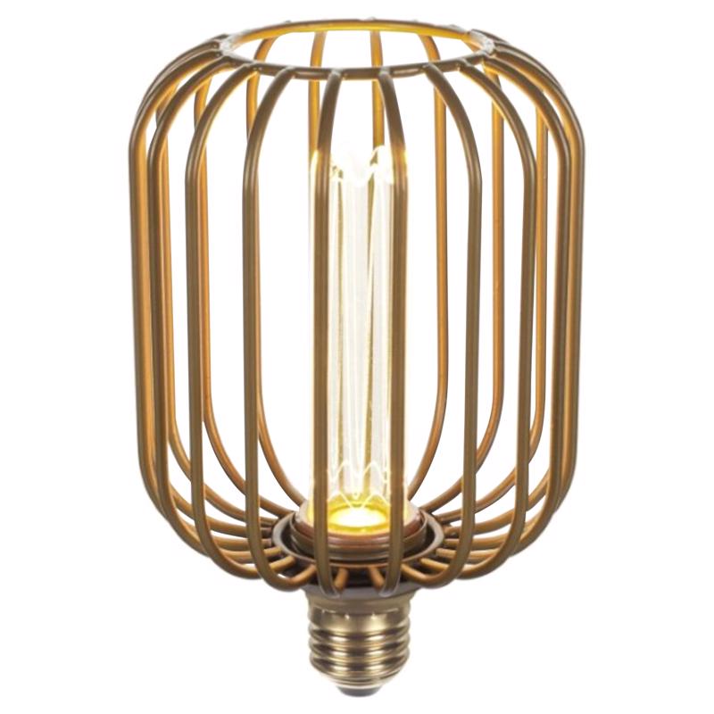 Globe Electric Decorative E26 (Medium) LED Bulb Soft White 3 Watt Equivalence 1 pk