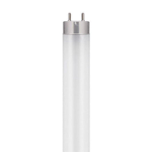 Westinghouse T8 G13 (Medium Bi-Pin) LED Bulb Cool White 14 Watt Equivalence 1 pk
