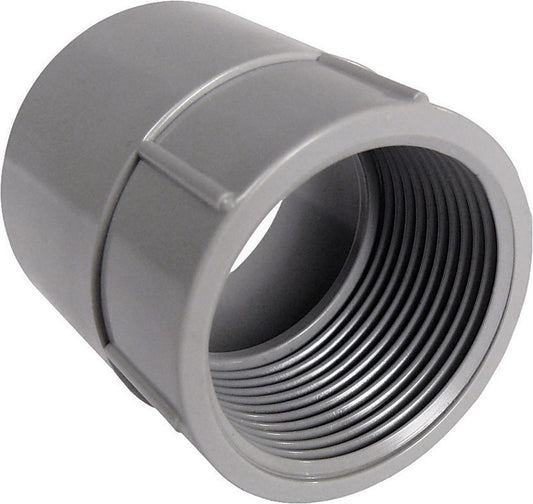 Cantex 3 in. D PVC Female Adapter For PVC 1 pk
