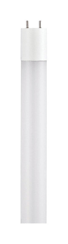 Westinghouse LED Cool White 48 in. G13 (Medium BiPin) T8 Linear LED Light Bulb 1 pk