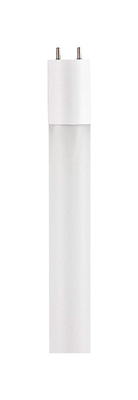 Westinghouse LED Cool White 23.78 in. G13 (Medium Bi-Pin) T8 Light Bulb 1 pk