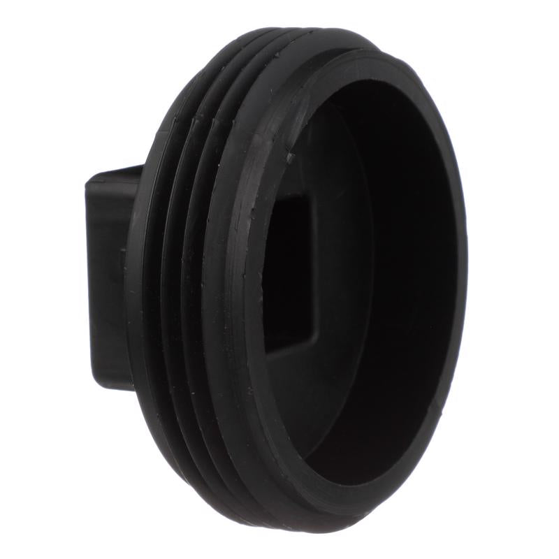 Charlotte Pipe 2-1/2 in. MPT X 2-1/2 in. D MPT ABS Plug