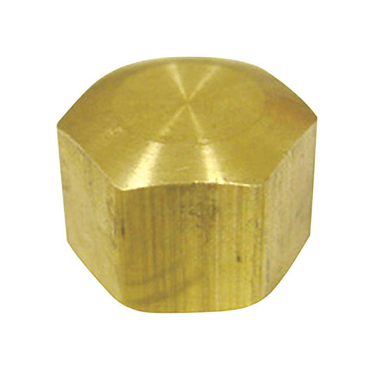 Ace 5/16 in. Compression Brass Cap