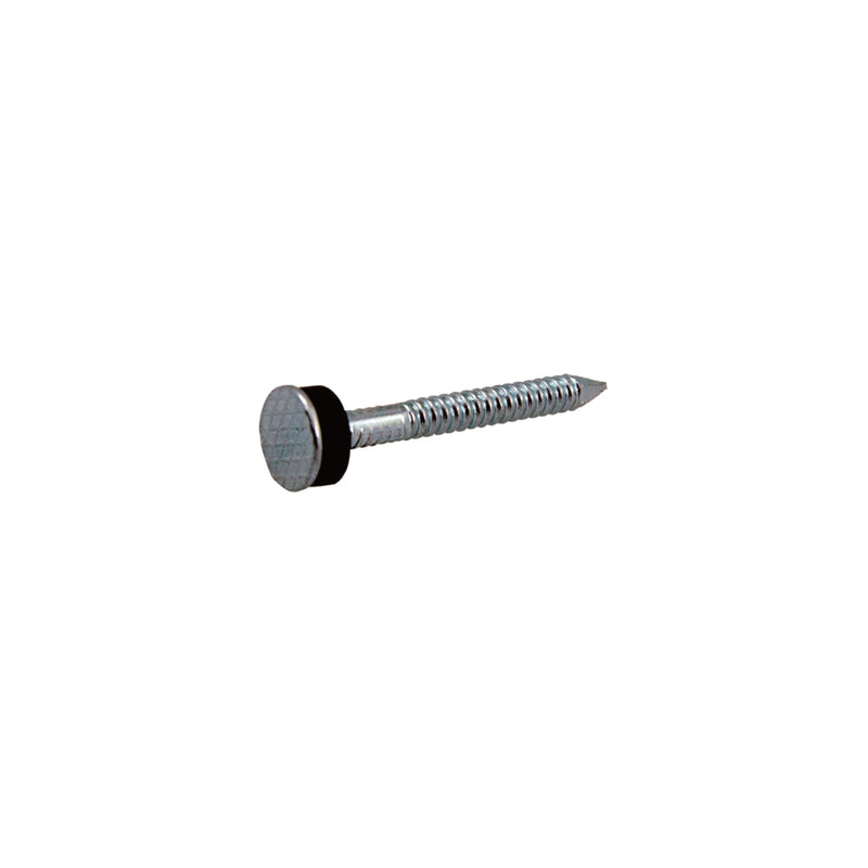 Grip-Rite 2-1/2 in. Roofing Electro-Galvanized Steel Nail Flat Head 1 lb