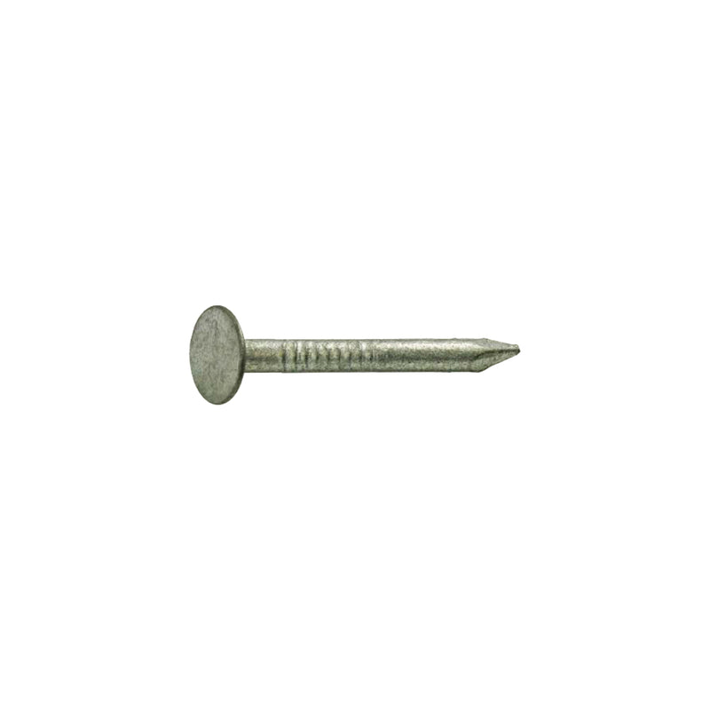 Grip-Rite 1-3/4 in. Roofing Hot-Dipped Galvanized Steel Nail Flat Head 1 lb