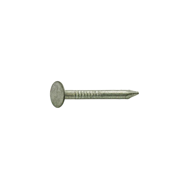 Grip-Rite 2-1/2 in. Roofing Hot-Dipped Galvanized Steel Nail Flat Head 1 lb