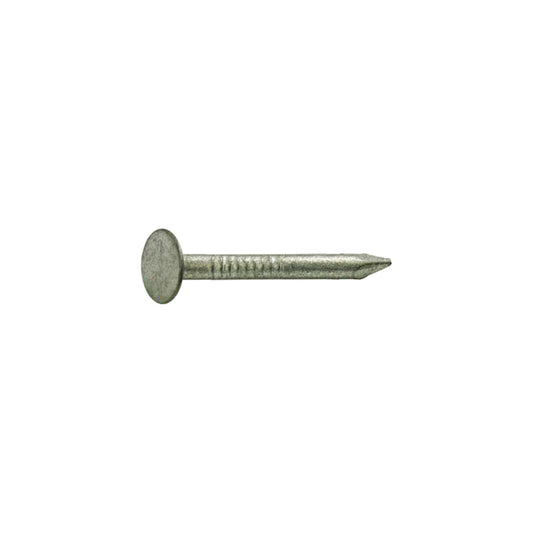 Grip-Rite 2-1/2 in. Roofing Hot-Dipped Galvanized Steel Nail Flat Head 1 lb