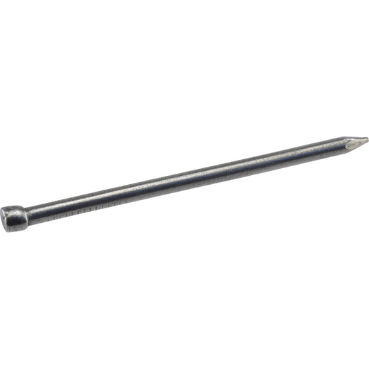 HILLMAN 6D 2 in. Finishing Polished Steel Nail Large Head