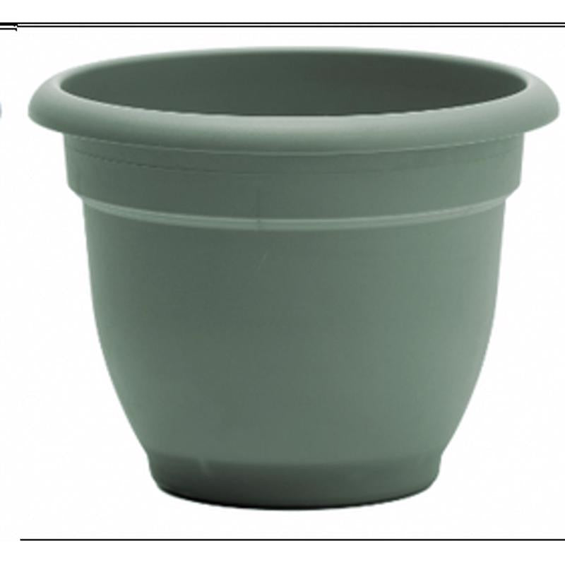 Bloem Ariana 8.5 in. H X 11 in. W X 10 in. D Plastic Traditional Planter Basil