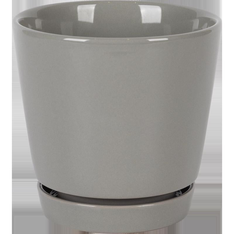 Border Concepts 6 in. D Ceramic Flair Saucer Planter Grey