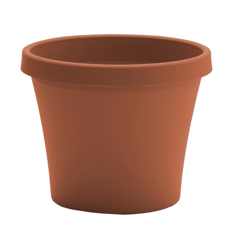 Bloem Terra 7.25 in. H X 6 in. W X 8.5 in. D Resin Traditional Planter Terracotta Clay