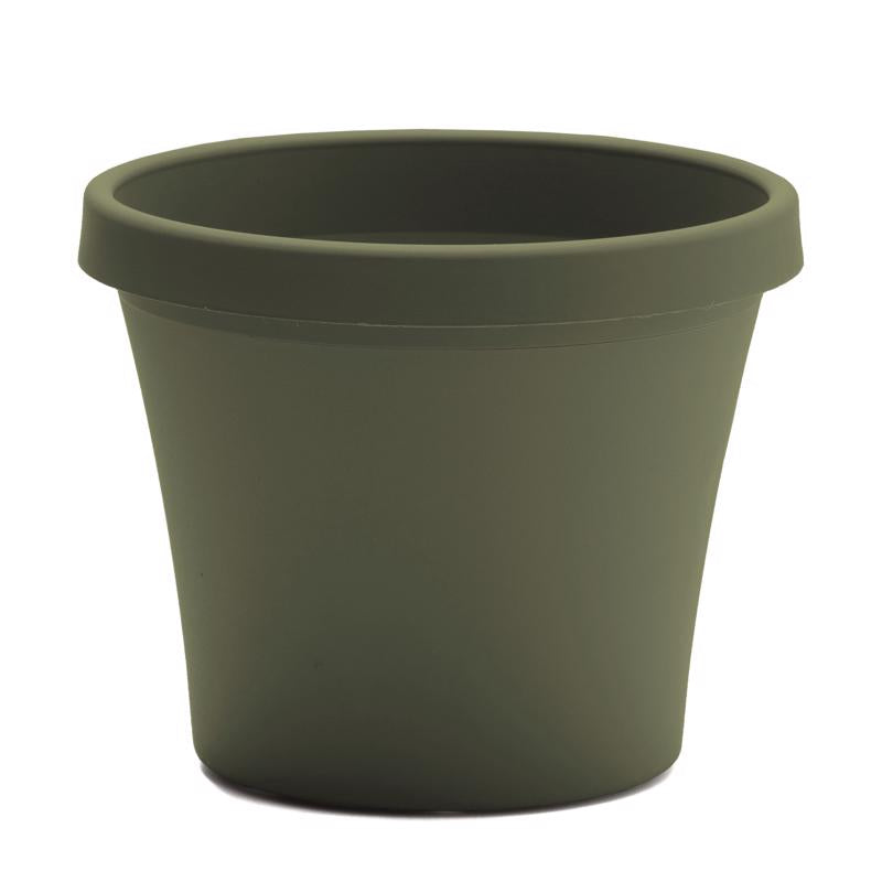 Bloem Terra 7.25 in. H X 8.75 in. W Resin Traditional Planter Living Green