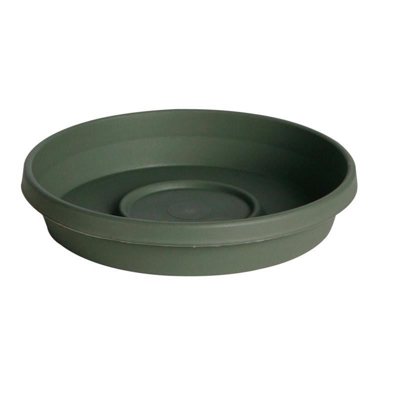 Bloem Terra 1.5 in. H X 7.5 in. W X 6.5 in. D Resin Traditional Plant Saucer Living Green
