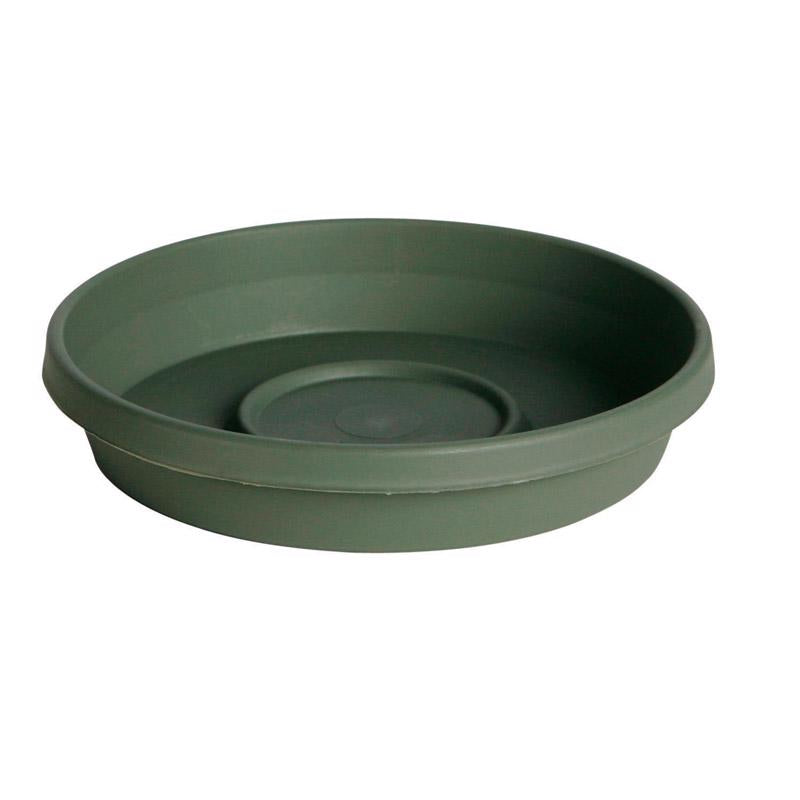 Bloem Terra 2.75 in. H X 14.75 in. W X 12.75 in. D Resin Traditional Plant Saucer Living Green