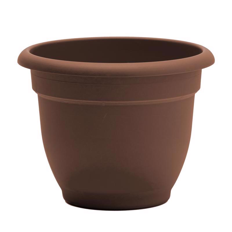 Bloem Ariana 8.5 in. H X 11 in. W Resin Traditional Planter Chocolate