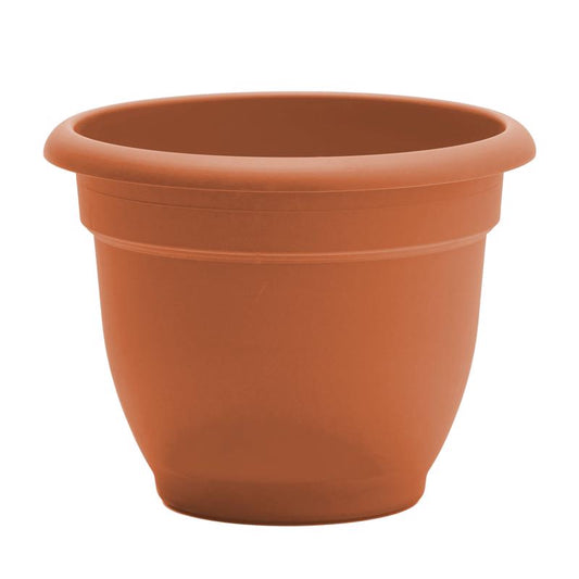 Bloem Ariana 8.5 in. H X 11 in. W Resin Traditional Planter Terracotta