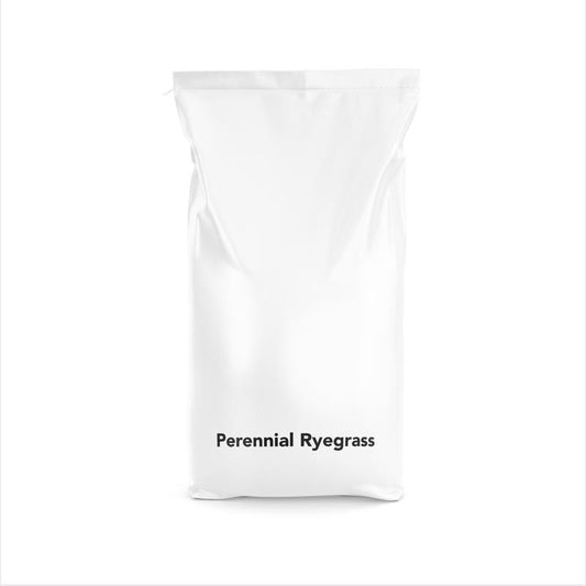 Barenbrug Perennial Ryegrass Full Sun/Light Shade Grass Seed 50 lb