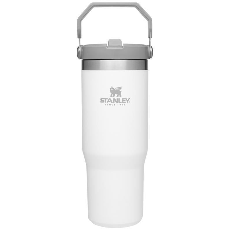 Stanley IceFlow 30 oz Polar BPA Free Double-Wall Vacuum Insulated Straw Tumbler