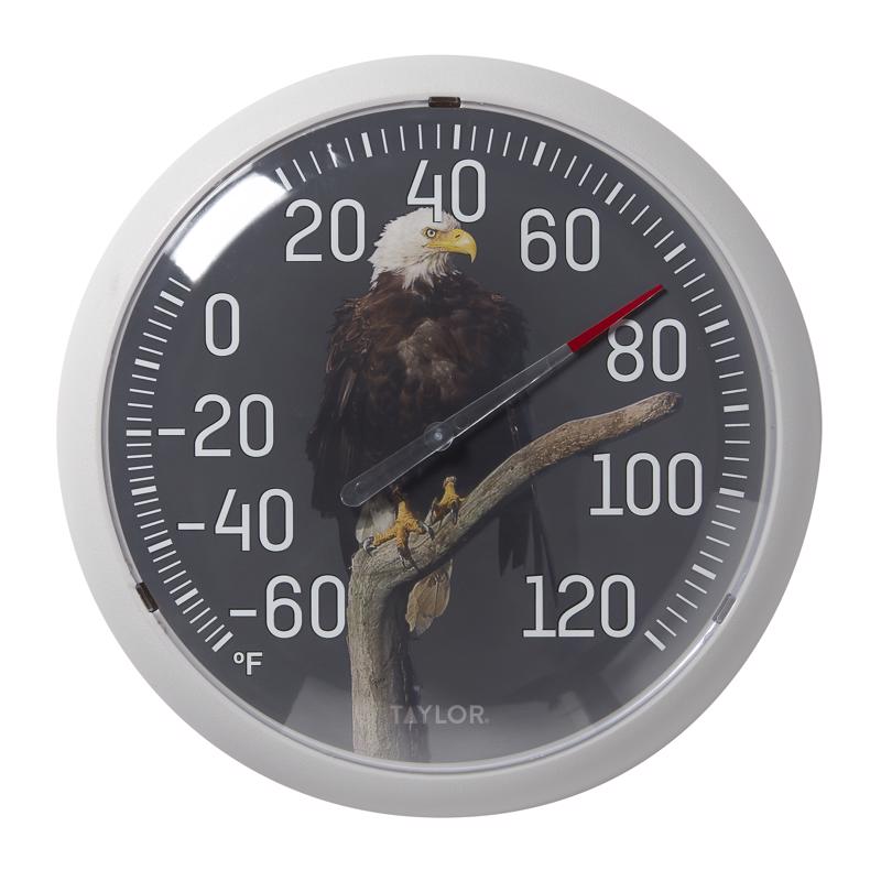 Taylor Eagle Dial Thermometer Plastic Multicolored 13.25 in.