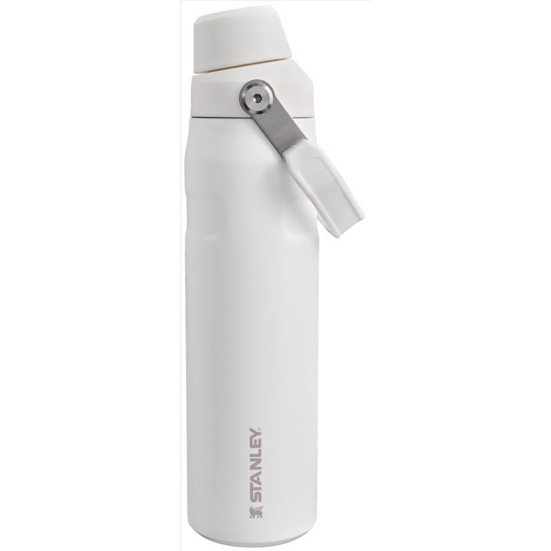 Stanley IceFlow Fast Flow 24 oz Frost BPA Free Bottle with Straw Cap