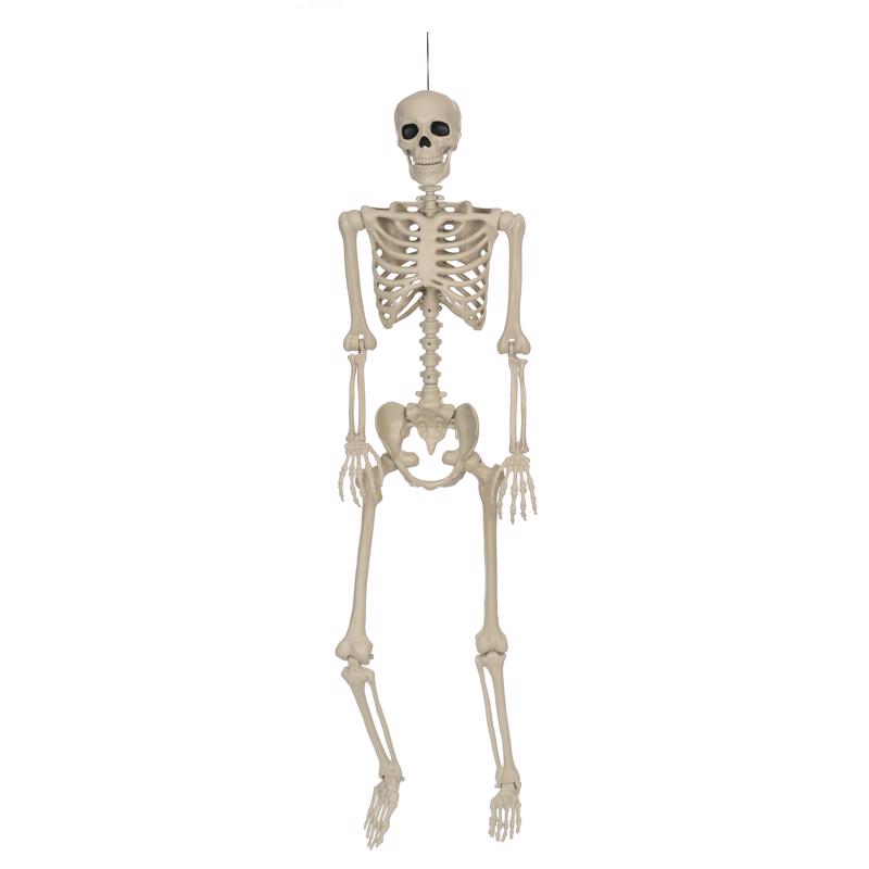 Seasons 5 ft. Skeleton Halloween Decor