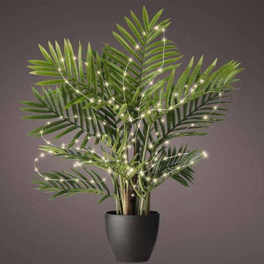Lumineo Plant lights LED Micro Warm White 40 ct String Light String