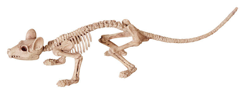 Seasons 6 in. Skeleton Asst Halloween Decor